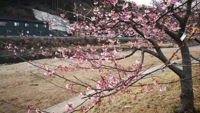 鏃ユ湰浜兘椋庢櫙宸濈搴锋垚,鏃ユ湰宸濈搴锋垚鍒濈鍥涙櫙