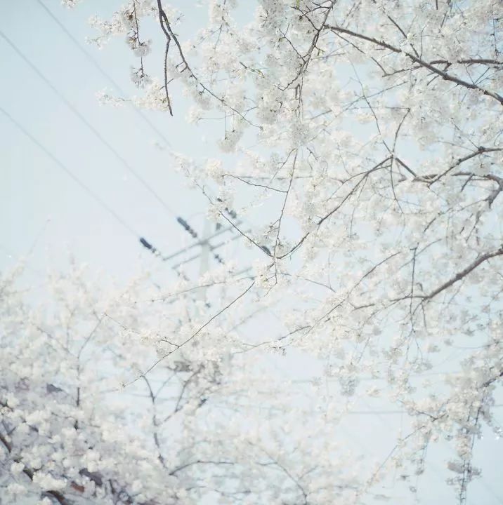 骨灰级干货史上最全海岛签证汇总 (骨灰级海岛自由行签证)