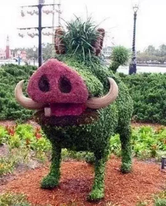 11月4，有群的都看看，太美了，这一辈子见一次值了！