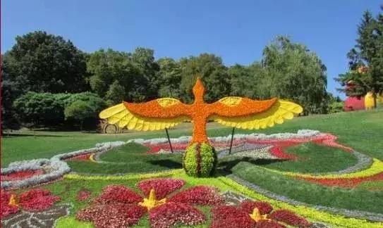 11月4,有群的都看看,太美了,这一辈子见一次值了!