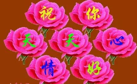 11月4，有群的都看看，太美了，这一辈子见一次值了！