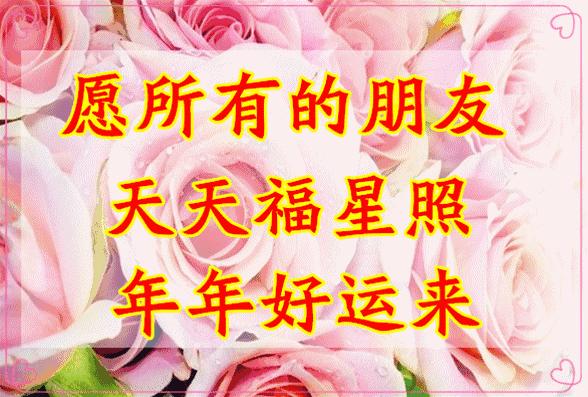 11月4，有群的都看看，太美了，这一辈子见一次值了！