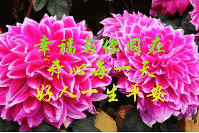 11月4，有群的都看看，太美了，这一辈子见一次值了！