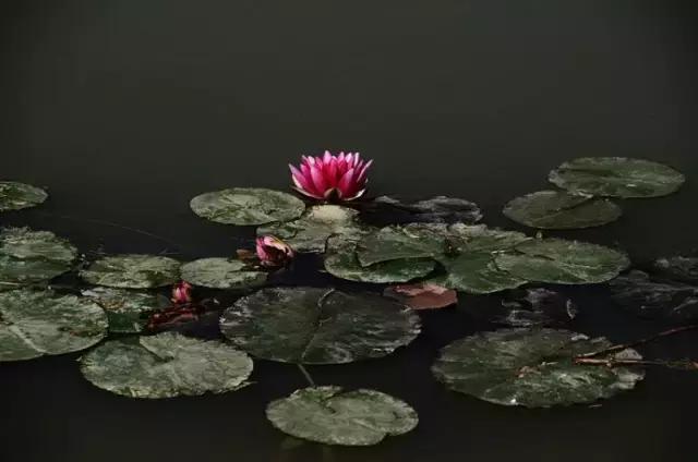 北京各区16处免费森林公园,森林公园北京有几个