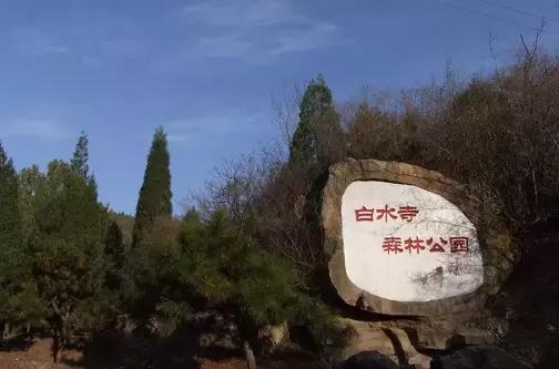 北京各区16处免费森林公园,北京最新40个公园