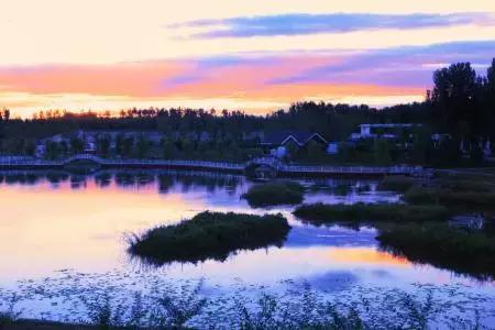 北京各区16处免费森林公园,北京最新40个公园