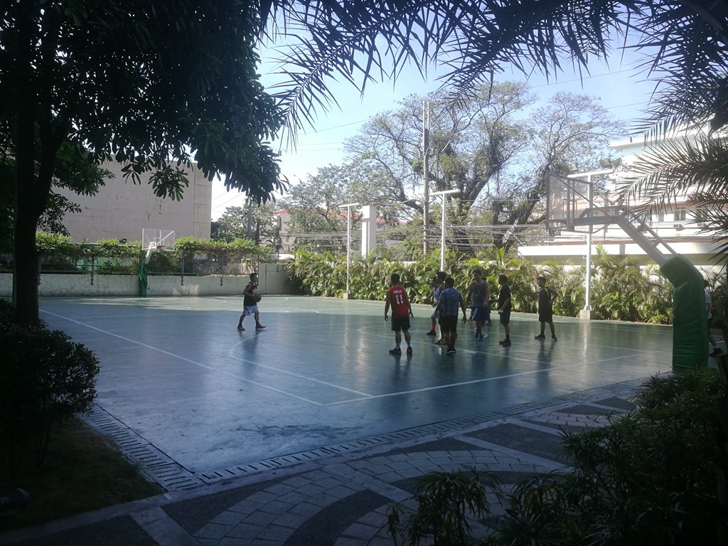 学智乒乓球,学智篮球