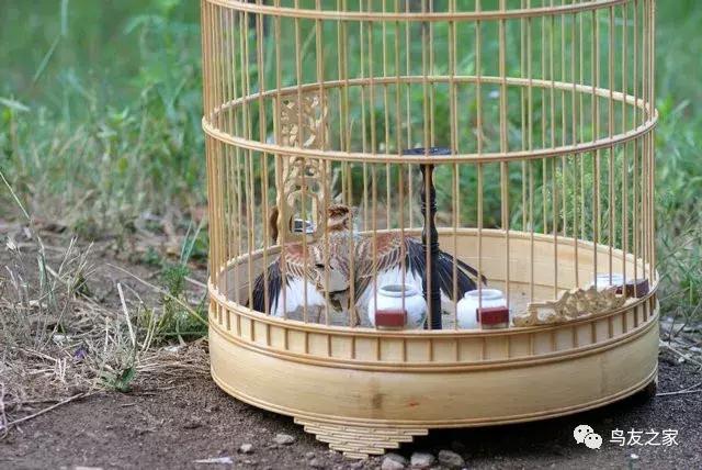 爆文小说原版,爆文原文