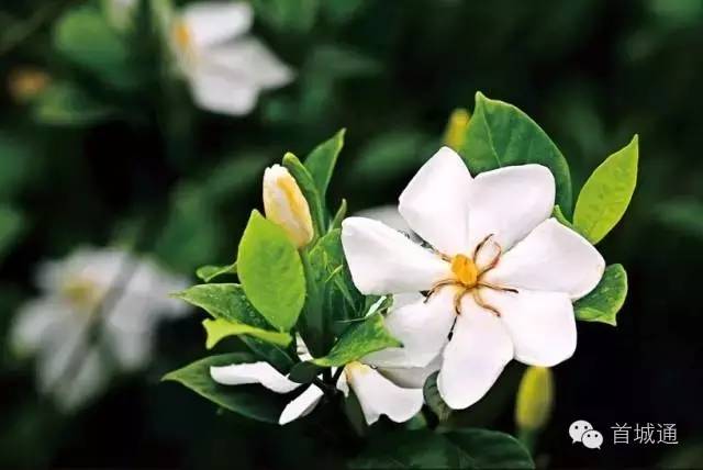 相约南溪古城夜景,相约南溪