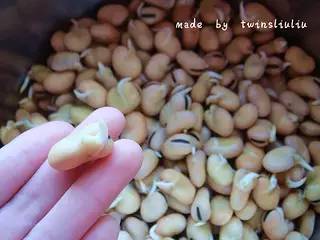 舌尖上的初夏美食,舌尖上的蚕豆