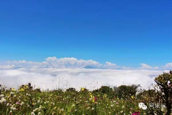 512汶川地震十二年铭记历史,缅怀汶川512地震