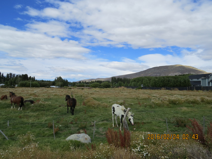 去巴西阿根廷秘鲁智利四国游,巴西阿根廷智利秘鲁地图