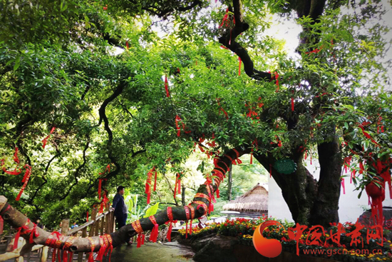 来一场说走就走的旅行第一站陇南,身未动心已远演唱