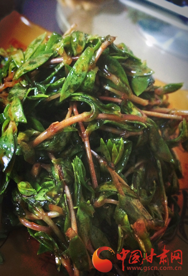 来一场说走就走的旅行第一站陇南,身未动心已远演唱