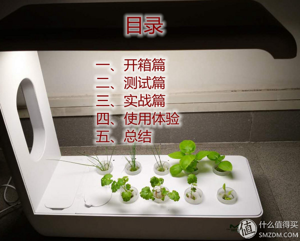 我的秘密菜园,我的秘密小菜地