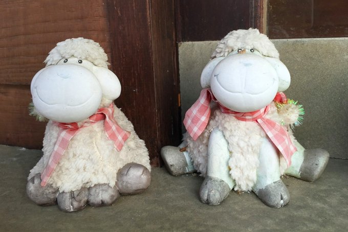 为了忘却的记忆全文,为了忘却的记忆1