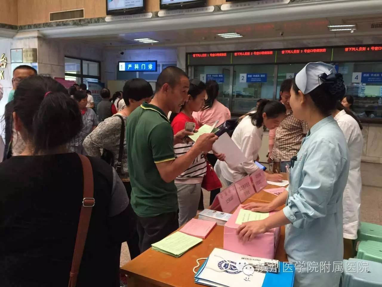 公益路上不断努力,公益捐狗粮