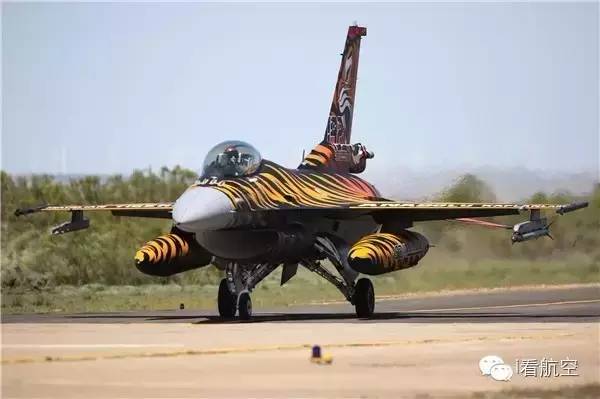 视觉|没去过老虎会？没关系，看航空带你穿越去现场