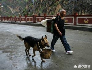 閫佺嫍鐙楀涓ソ浜哄骞夸笢,鏇跨嫍鐙楁壘鍒板ソ浜哄