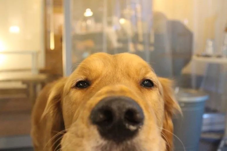 就连文艺女青年也找不到的史诗级咖啡店，因为它们真的藏在角落里