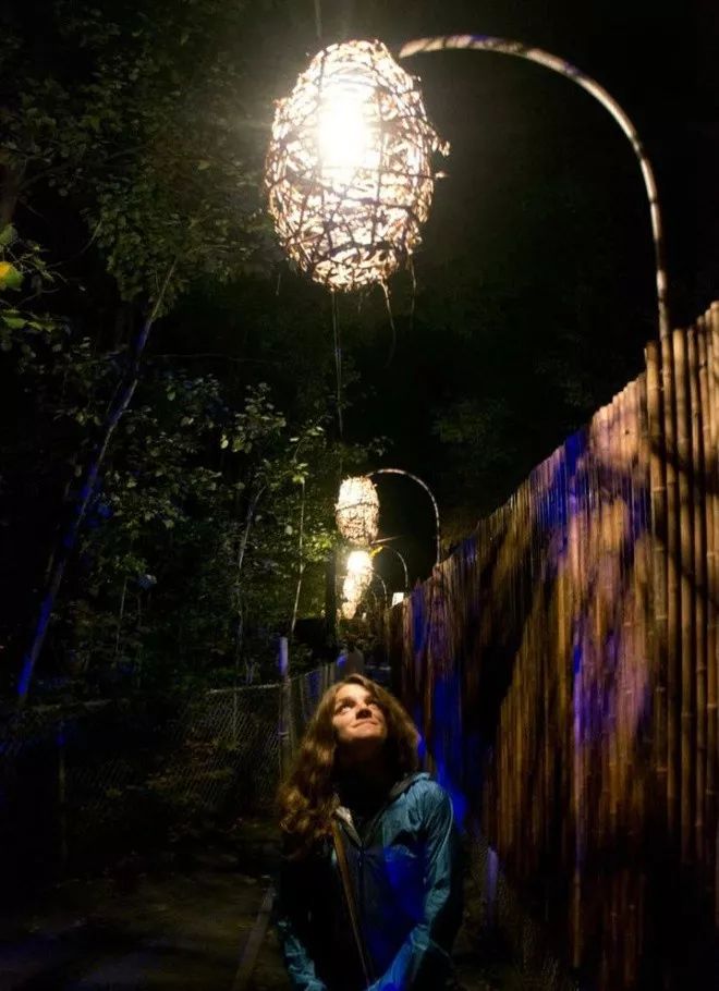 加拿大奇幻森林,加拿大魔法森林风景