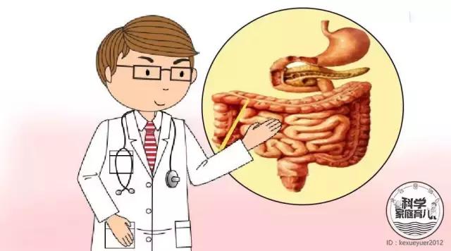 用错药注意事项,驱虫药用错了怎么办