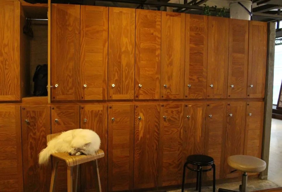 就连文艺女青年也找不到的史诗级咖啡店，因为它们真的藏在角落里