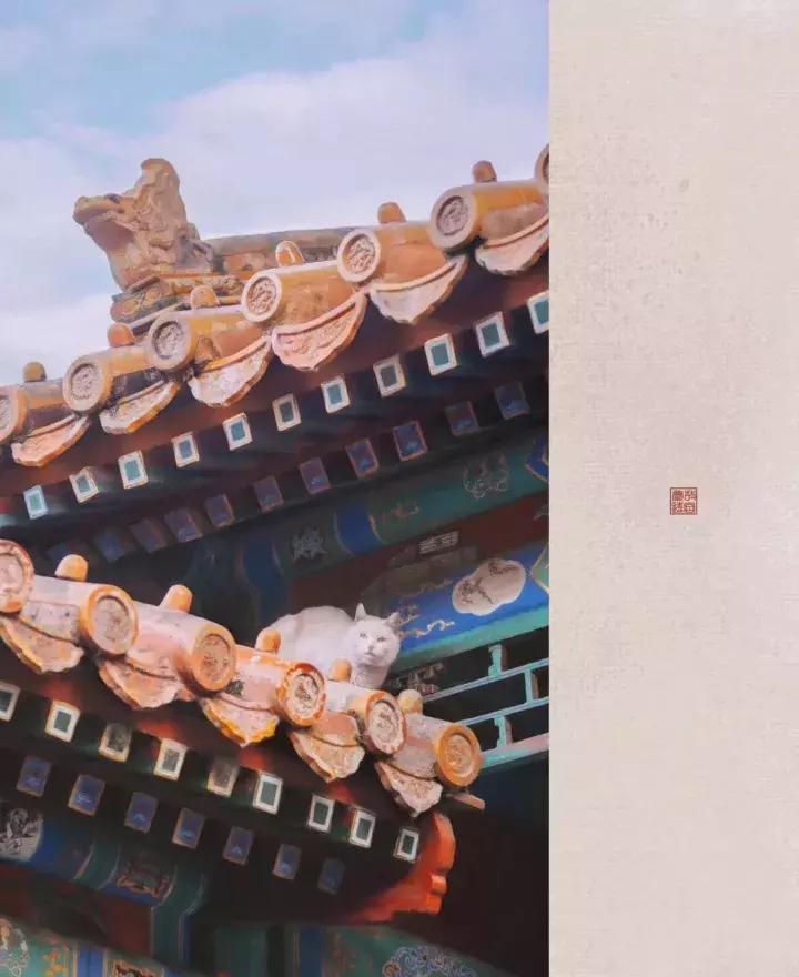 鏁呭18鍙尗,鏁呭鍚哥尗181鍙尗