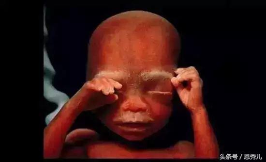 摄影大师花费10年,用镜头记录精子与卵子结合并发育成长的过程!