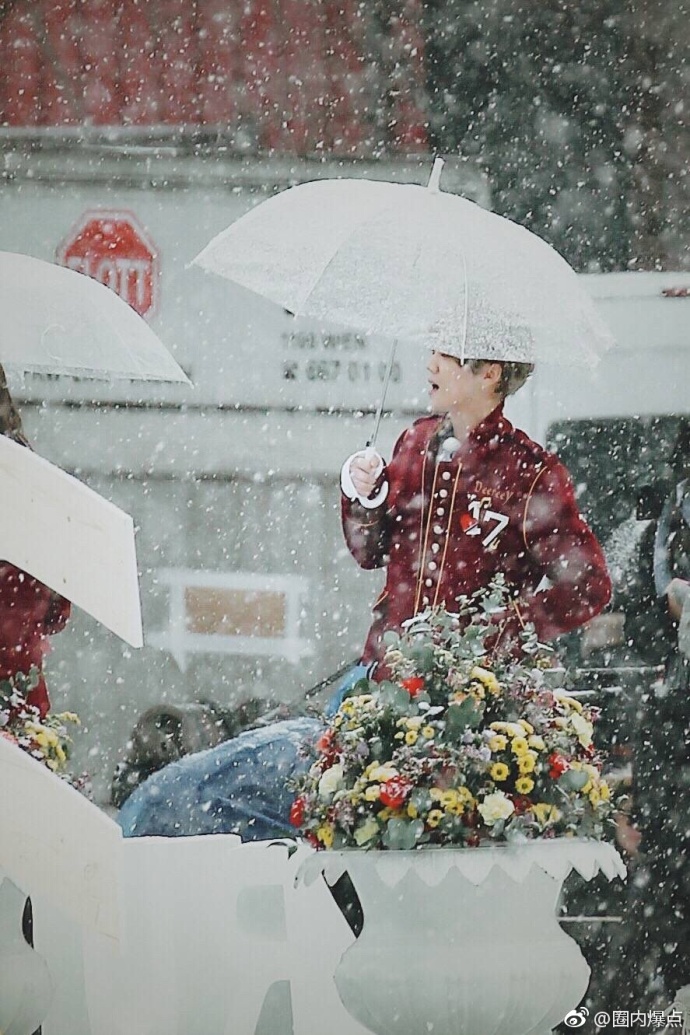 鹿晗维也纳晒照雪中,鹿晗雪中撑伞漫步完整版