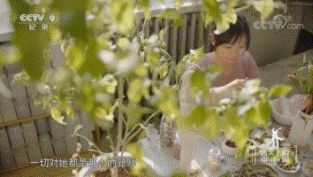 中药口红的危害,中药口红特色与优势