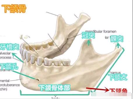 作为f4之一的周渝民,周渝民一点不显老