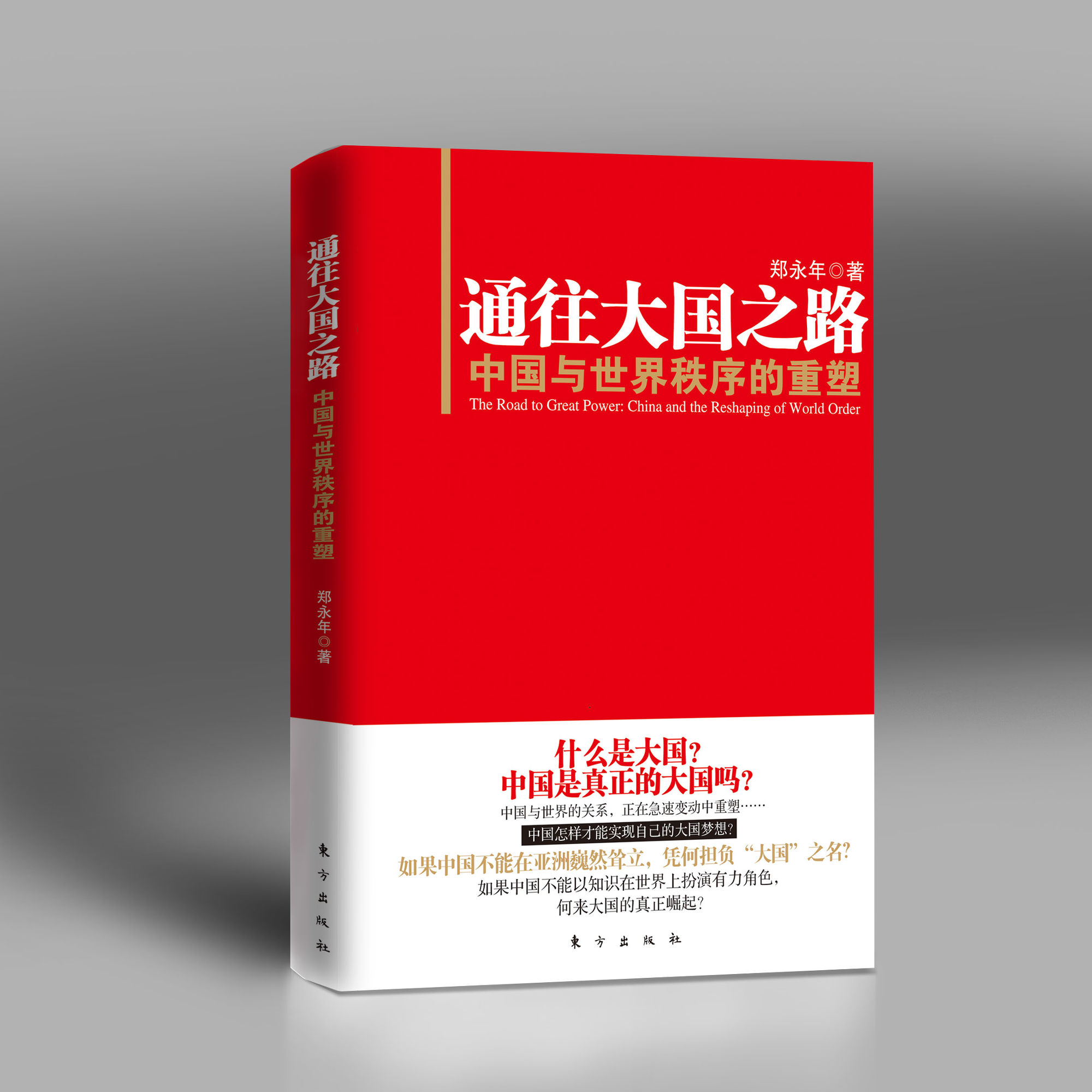 郑永年谈中国反腐败,郑永年对民族主义的看法
