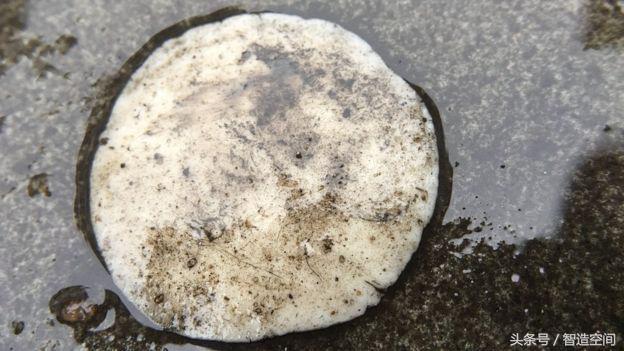 口香糖鞋底处理方法,口香糖粘在鞋底纹路