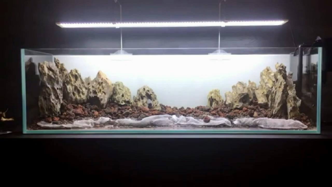 鱼缸微景观的方法和技巧,桌面鱼缸造景新手教程