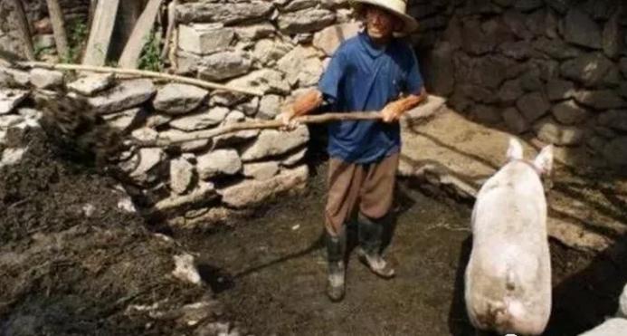 农村适合穷人的18个创业项目赚钱,农村利润很吓人10个冷门创业项目