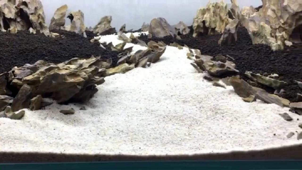 鱼缸微景观的方法和技巧,桌面鱼缸造景新手教程