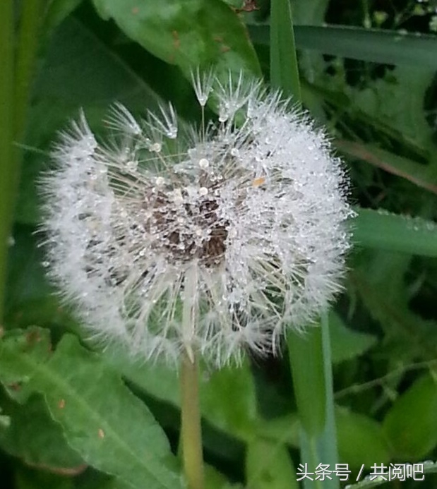 心理学读心术唤醒内心深处的自己,读心术的20个道理