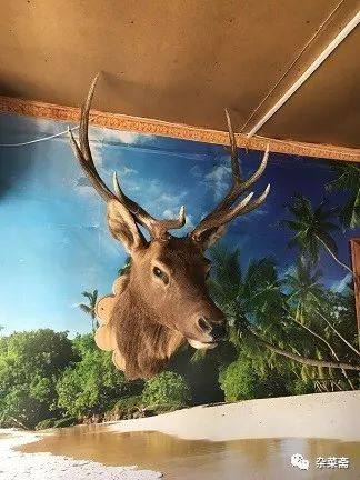 贝加尔湖寻游记,贝加尔湖的清晨和贝加尔湖畔