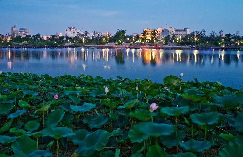 鍙ゆ枃鎺㈢鍏ㄩ儴绔犺妭鍦ㄧ嚎闃呰,鍙ゆ枃鎺㈠