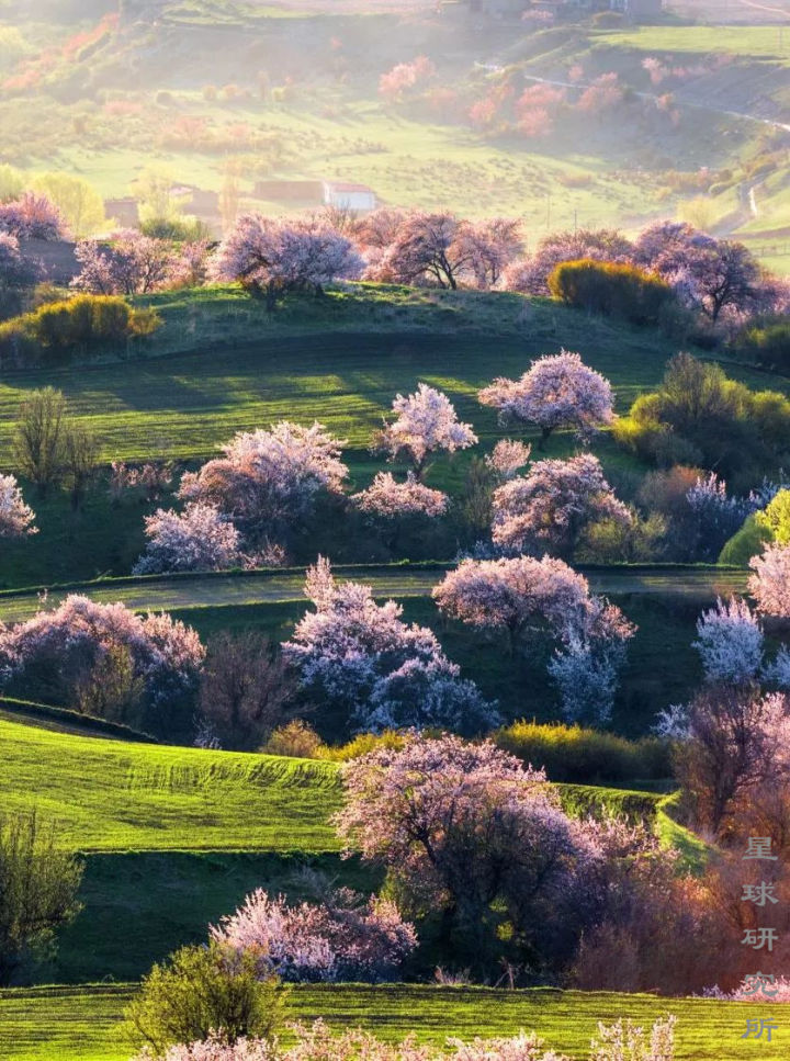 伊犁这个偏远的西部城市,新疆伊犁市靠近哪个位置