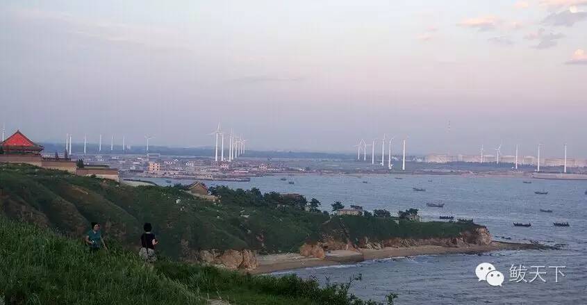 鲅鱼圈旅游景点大全攻略,鲅鱼圈旅游攻略必去十个景点