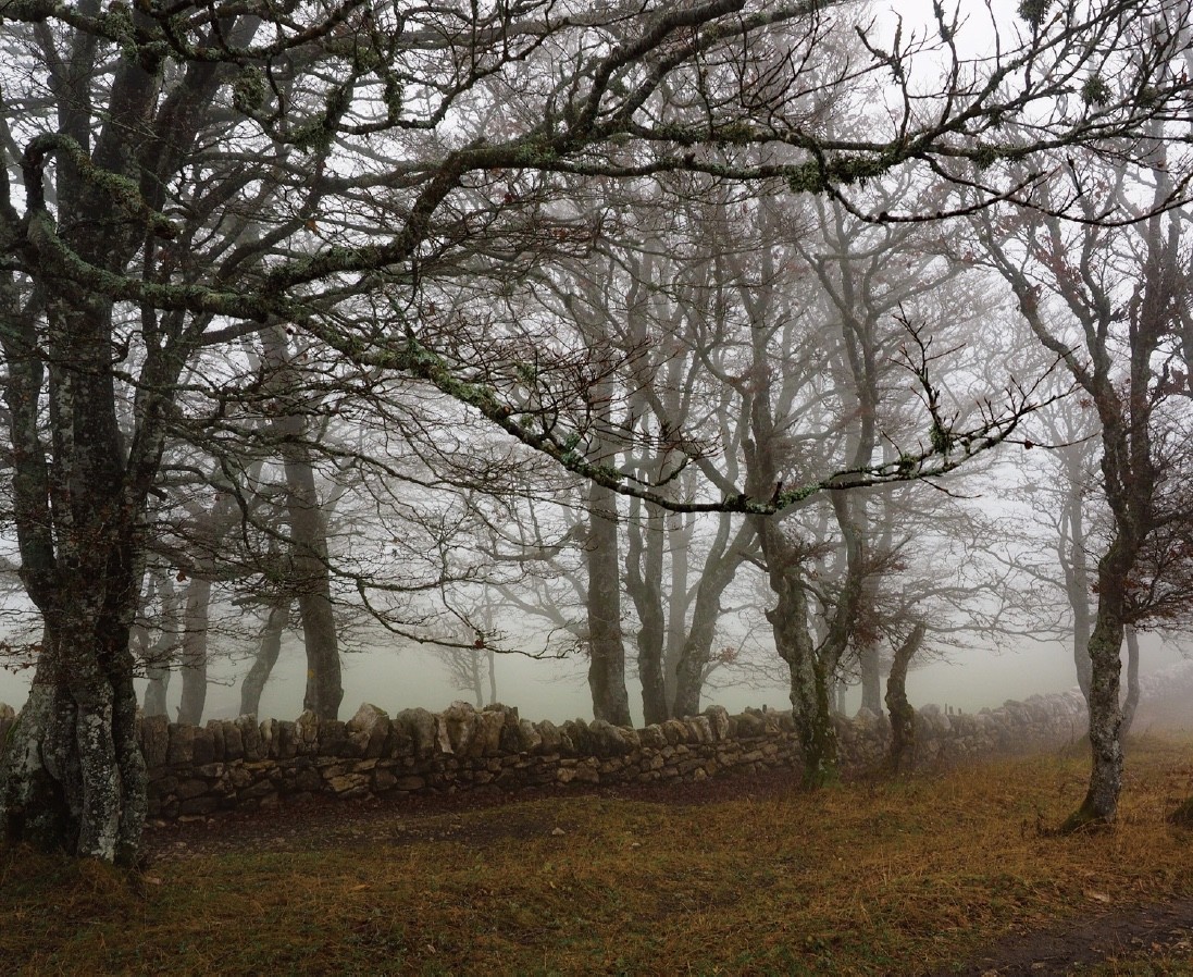 雾蒙蒙照片怎么处理,照片去雾技巧
