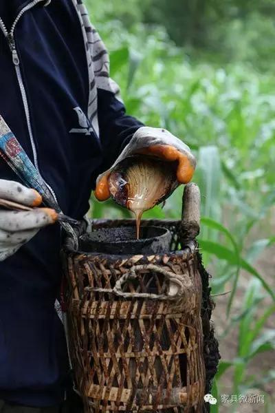 家具涂料种类大全,家具的秘密有哪些