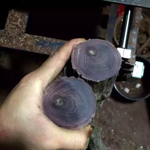 海黄糠梨和油梨区别,为什么海黄糠梨比油梨易包浆