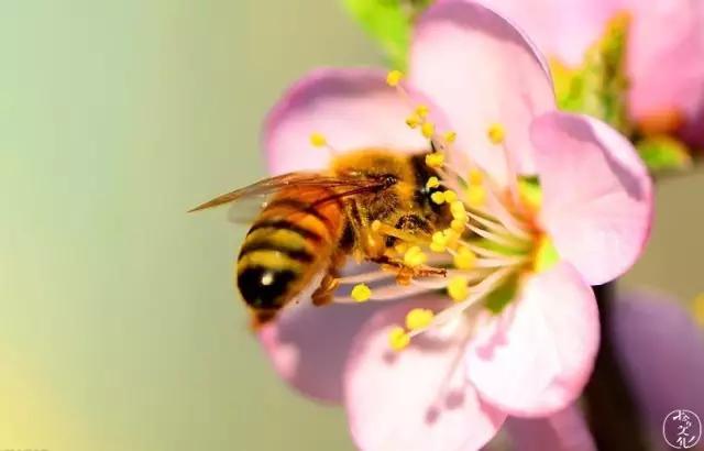 我捉住了一个*花采**贼丨雅娴