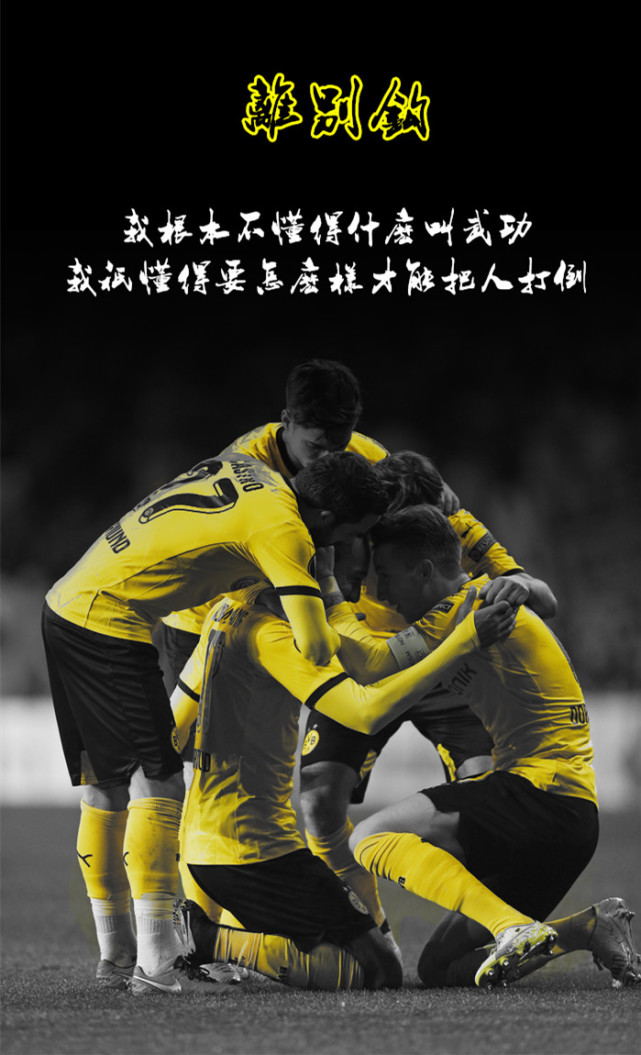 本赛季多特蒙德实力如何,多特蒙德本赛季的表现