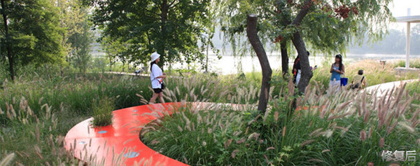 城市双修是什么,城市双修纪实