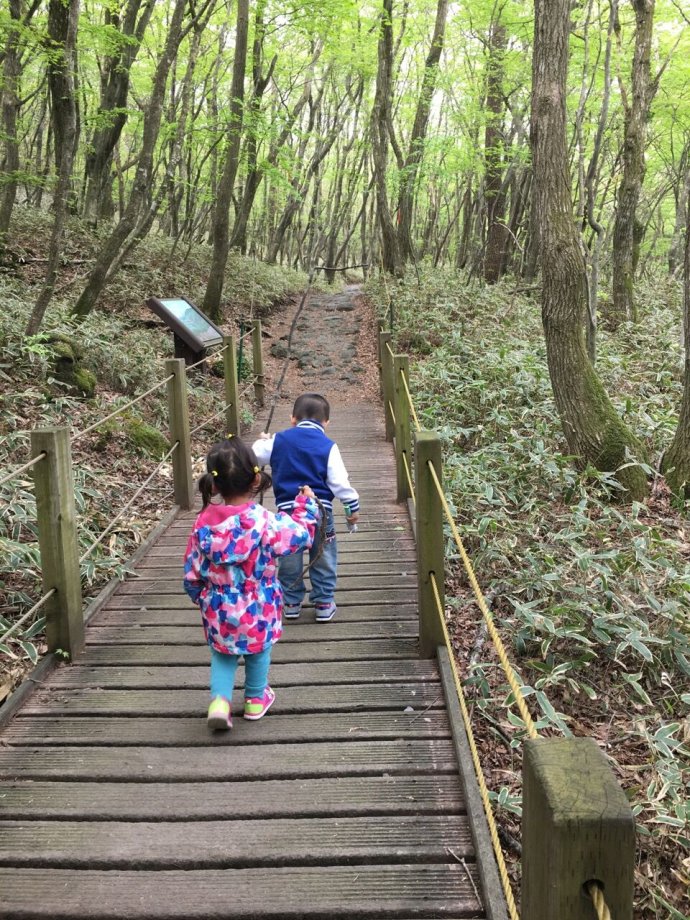 济州岛亲子游酒店,济州岛亲子游多少钱
