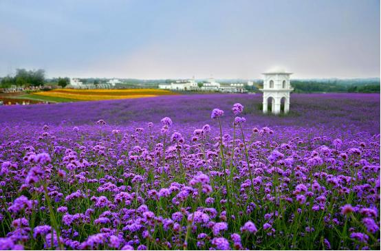 哪些地方表白容易成功,最适合表白的3个地方